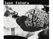 Luxe Futura Tells Operate Your Mind