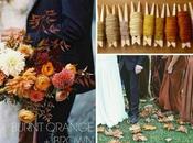 Fall Color Palettes Occasion