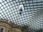 Throwback Thursday: Picture This: Trees Kogod Courtyard