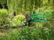 Famous Flora: Monet’s Garden