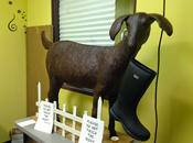 Wine Chocolate Paring Therapy