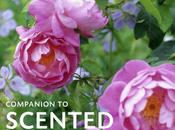 Companion Scented Plants Book Review Give Away