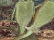 Sex? Started Million Years Video)