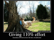 Giving 110%