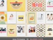 Blinks Life Story Week 21-24