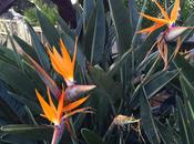 California Dreamin Blogtourcali Part