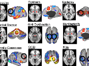 Brain Resting State Network Stimulation Psychiatric Neurological Diseases