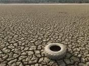 Snap U.S. Mulls Adding Turtles Endangered Species List