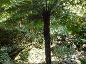 Normal Service Resumed