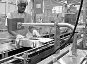 Lean Labor Management Reward-based Pay: Savings Successes