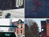 Instagram Lately: Universe Conspiring With