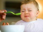 Little Known Tactics Make Fussy Eater Properly