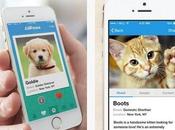 Tinder-like ‘AllPaws’ Lets Find Perfect Adoptable