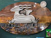 Global Wildlife Center Folsom, Safari South