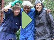 Great Barrier Reef Australia, Turtle Rehabilitation Program