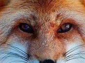 Campaign Aims Make Industry Thing Past