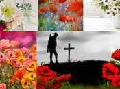 Sunday Postcards: Poppies