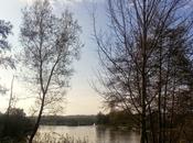 Sunny Sunday Afternoon