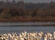 Come Chincoteague with February 2015