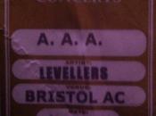 PHOTOGRAPHY: Levellers, Selecter, Makes (Bristol, November 2014)