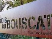 Bois Bouscat: Cultural Walk Woods