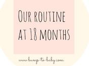 Months Routine