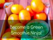 Become Green Smoothie Ninja. Free E-book Available!