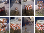 Stonecutter Street Treecutter