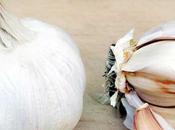 Great Garlic Debate: Cure Your Acne?