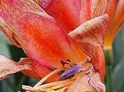 Grateful Aging