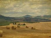 Rolling Hills Tuscany