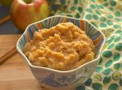 Cinnamon Spiced Applesauce (Paleo, SCD, GAPS)