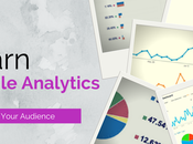 Google Analytics Audience Demographics Reports