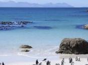 Healthy Days Cape Town