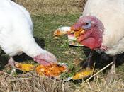 Vegan Thanksgiving Menu 2014