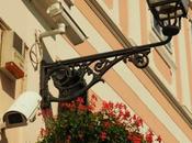 “ザグレブの胃袋”，ドラツ青果市場 Tržnica Dolac，Dolac Market