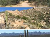 Checking Tucson Travels