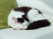 Building Ponds Again