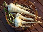 Harvest Monday December 2014