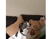 Ralph's Blogged Band Chart 13.12.14