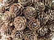 Sunday Bouquet: Pine Cone Bouquet