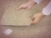 FAQs Regarding Carpet Patching Repairing