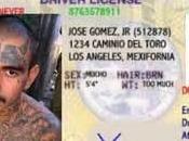 California Immigrants Soon Seek Driver’s Licenses