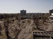 Brown Bear Seen Otherwise Deserted Chernobyl