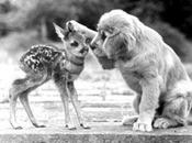 When Giving Criticism…