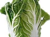 Benefits/Uses Chinese Cabbage Skin, Hair Health
