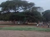 Cricket Marina Beach .... Hindu Downtown
