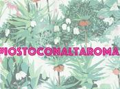 #iostoconaltaroma