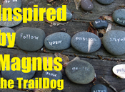 Inspired Magnus TrailDog