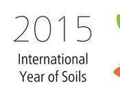 Soils-2015 2015 International Year Soils